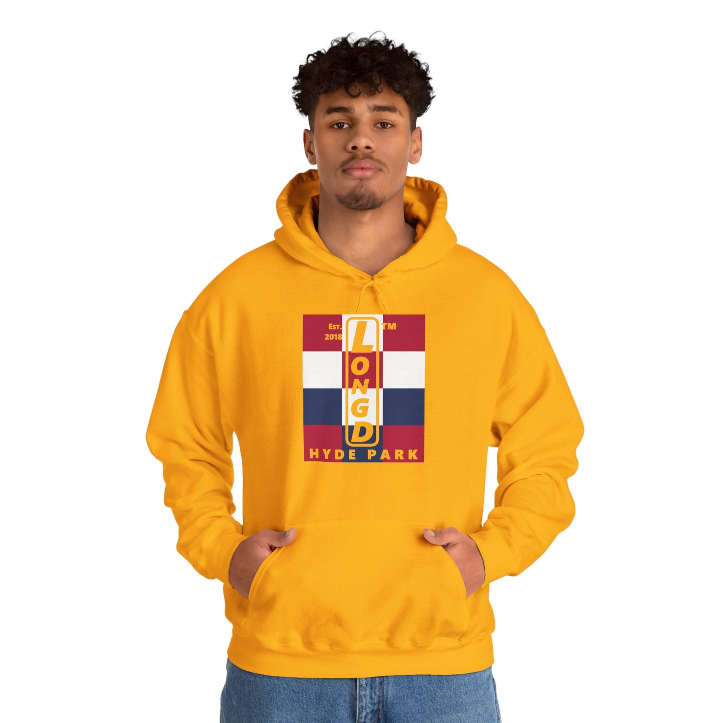 LongD® negative 4x3 upright Hyde Park logo hoodie (Patriotic colors)