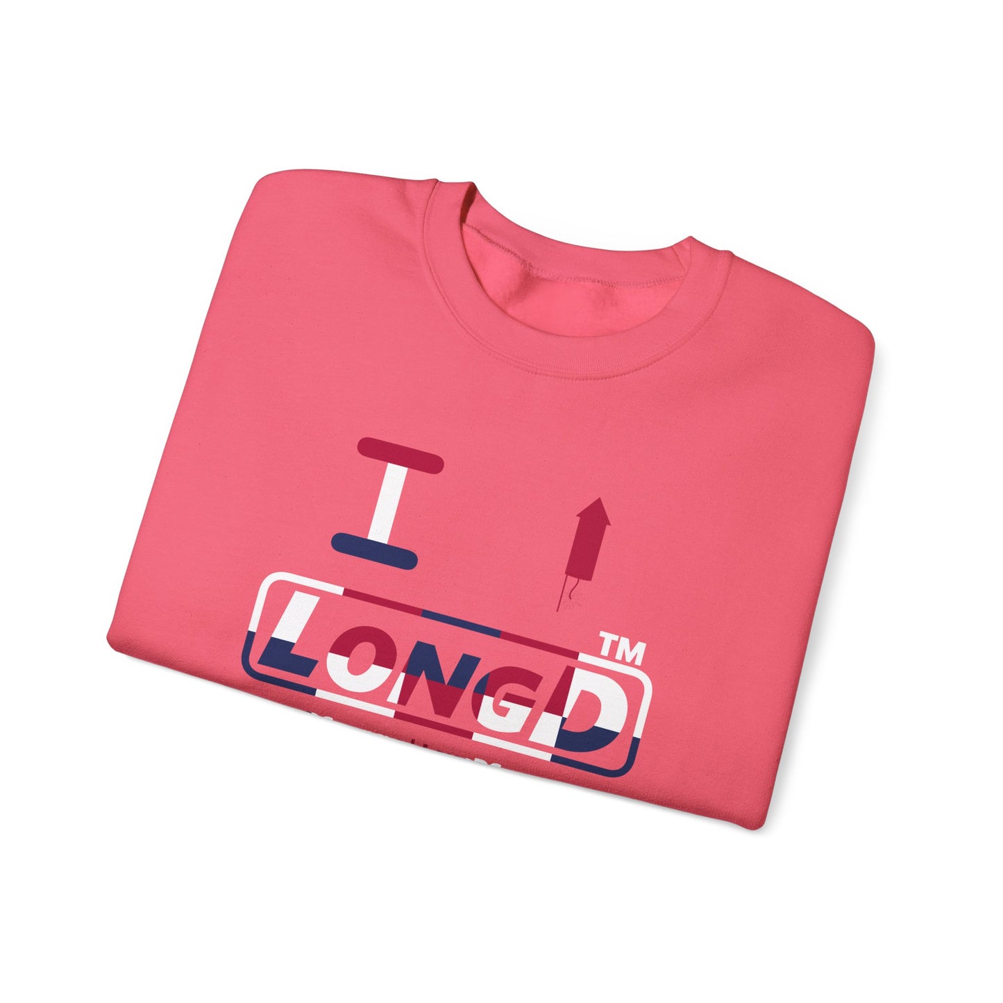 I firecracker LongD positive 2x5 tag-domain logo crewneck sweatshirt