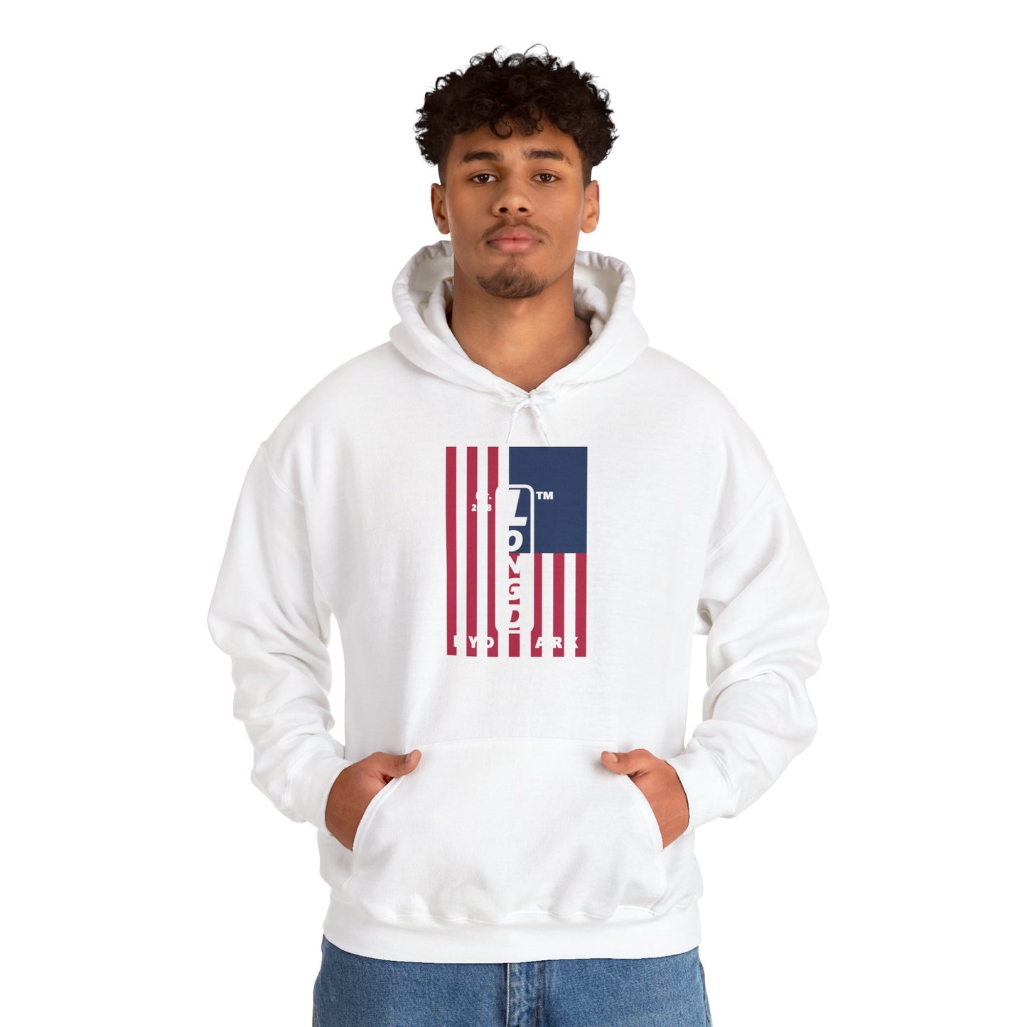 LongD® negative cropped flag upright Hyde Park logo hoodie (Patriotic colors)