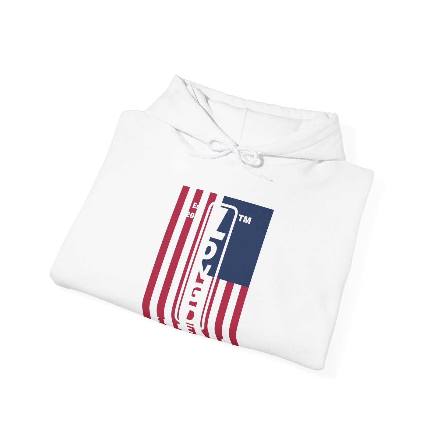 LongD® negative cropped flag upright Chicago logo hoodie