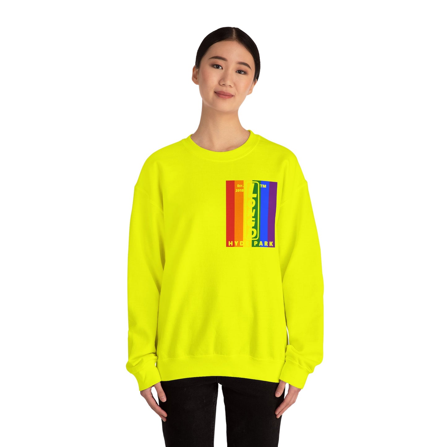 LongD negative flag single-breasted front-back Hyde Park upright logo crewneck sweatshirt (Pride colors)