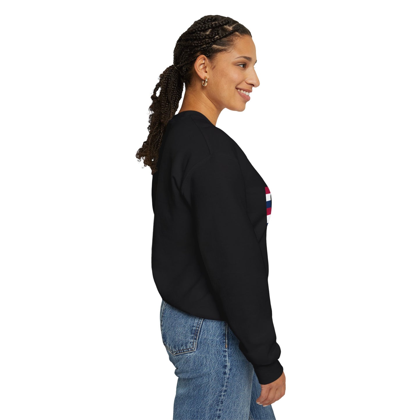 I firecracker LongD negative horizontal 6-striped Hyde Park logo crewneck sweatshirt