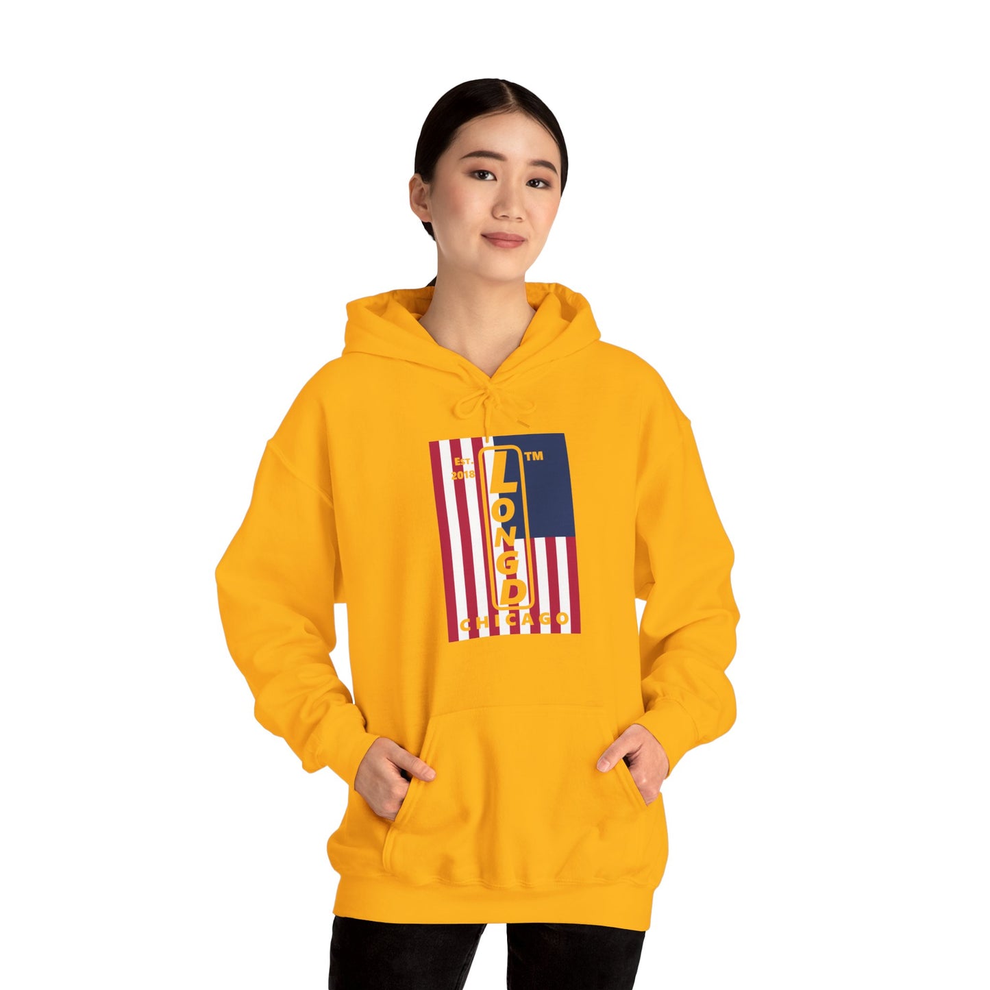 LongD® negative cropped flag upright Chicago logo hoodie