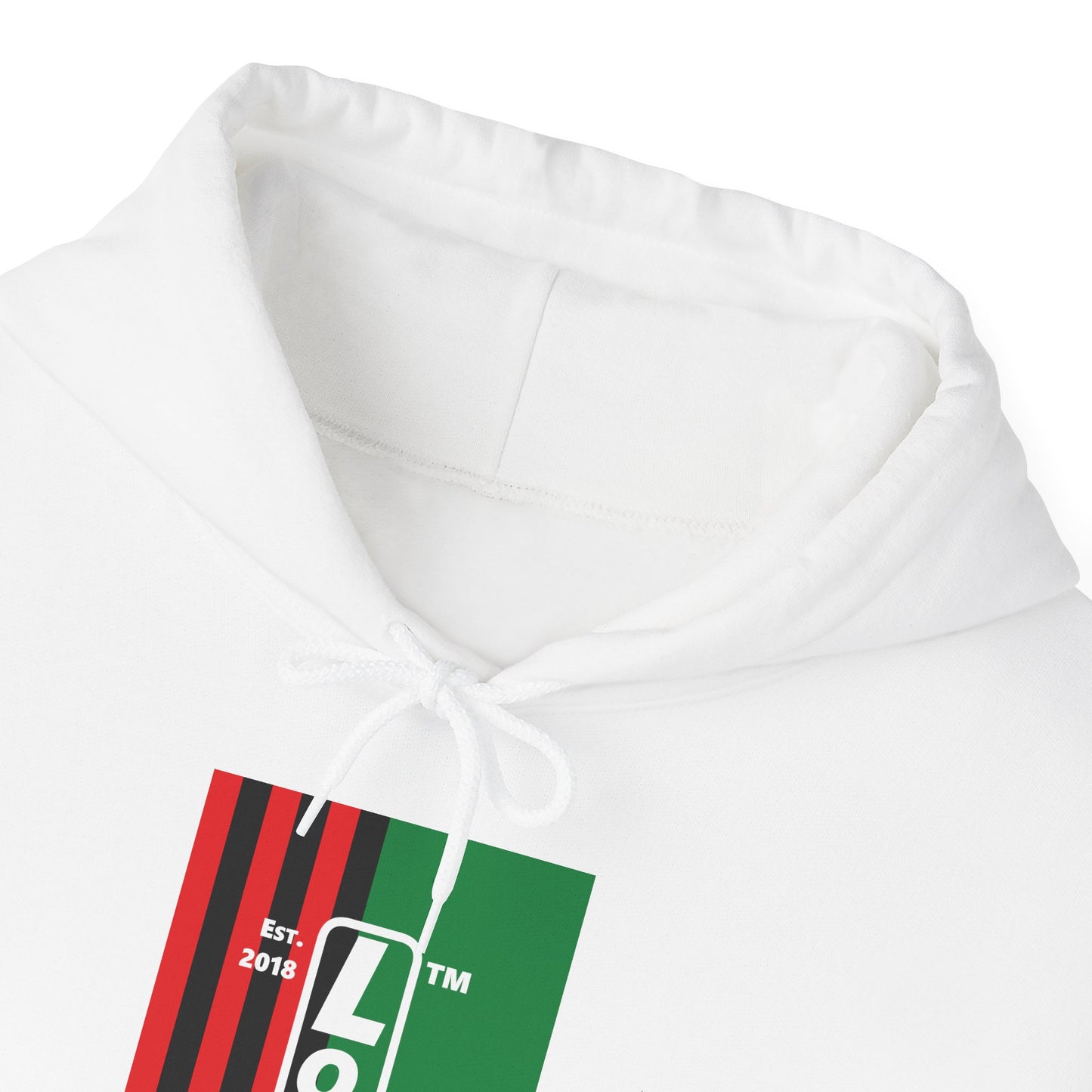 LongD® negative cropped flag upright Hyde Park logo hoodie (Juneteenth colors)