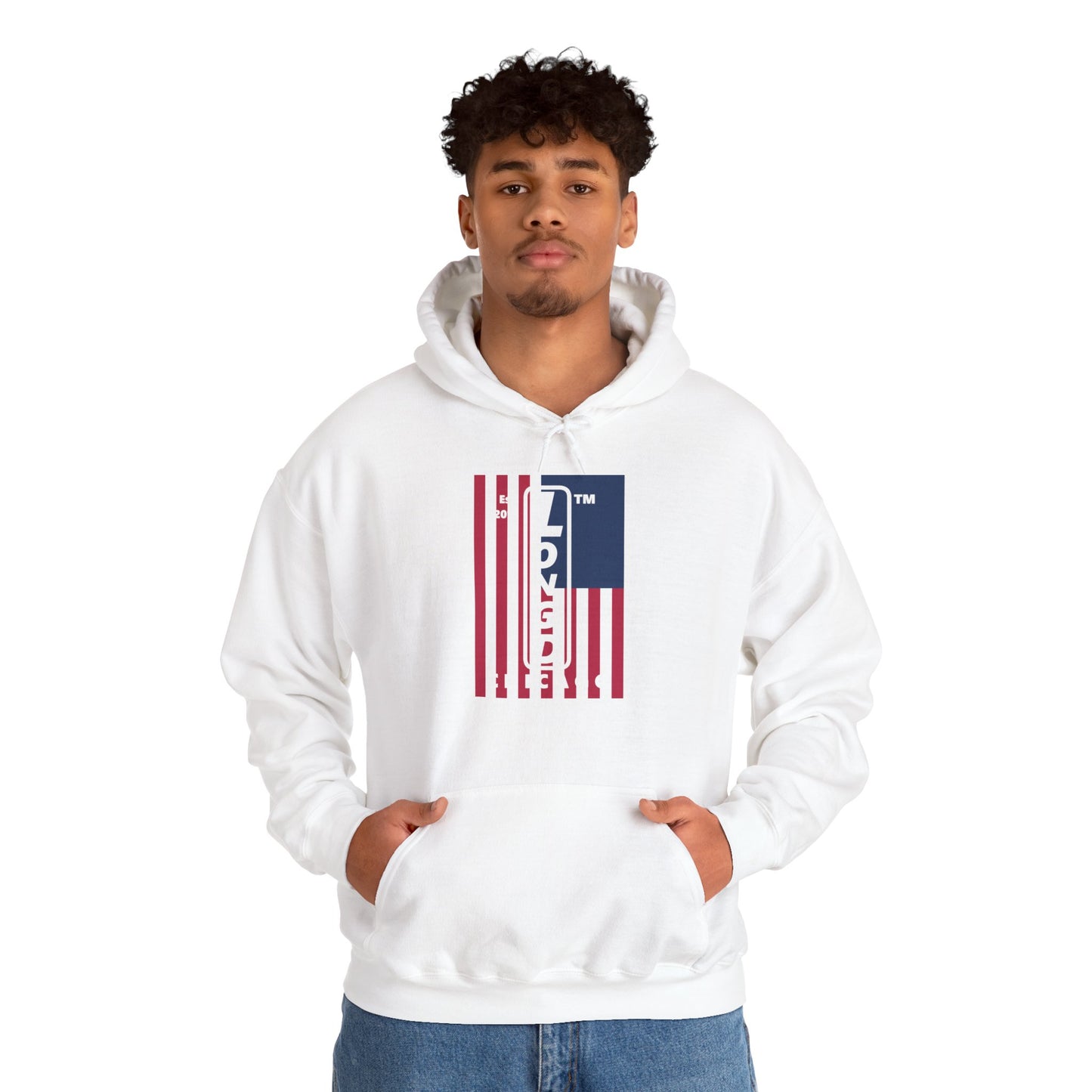 LongD® negative cropped flag upright Chicago logo hoodie