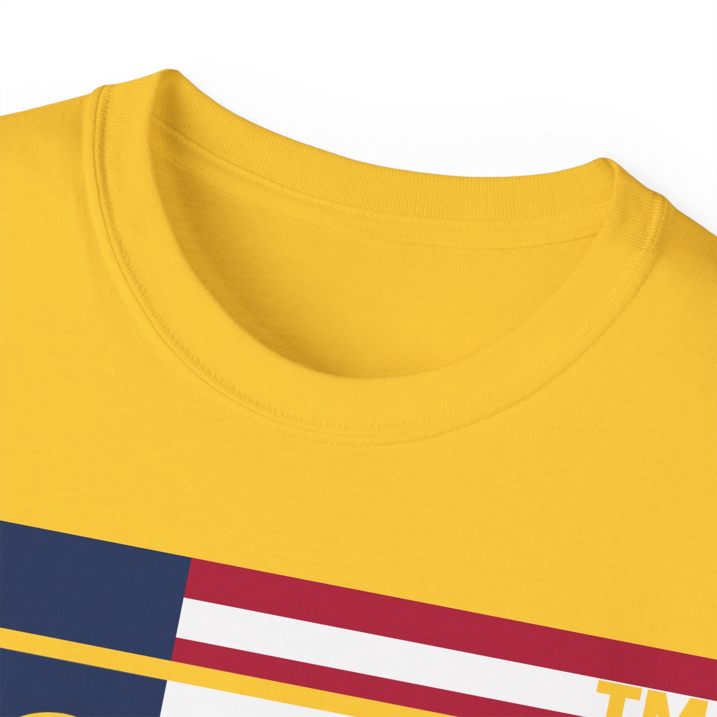 LongD negative flag Hyde Park logo cotton tee (patriotic colors)