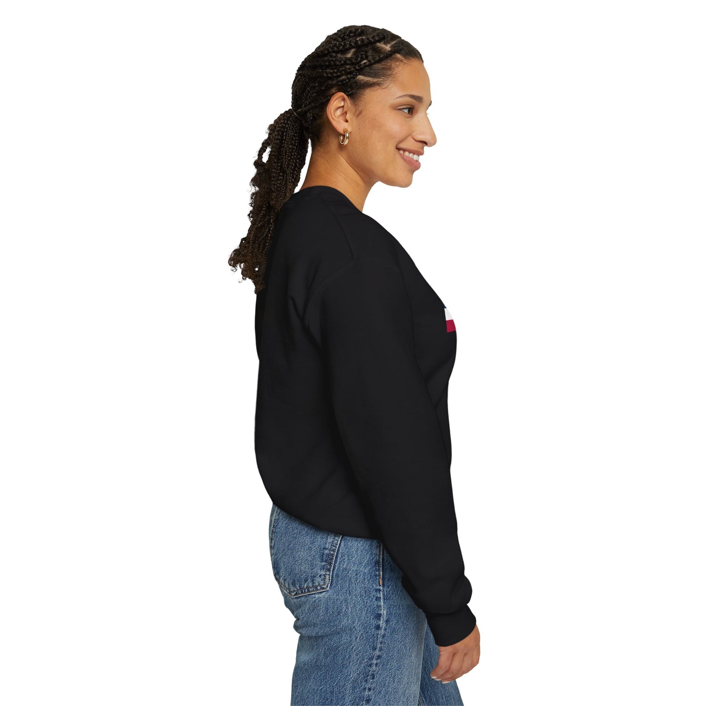 LongD negative modified windmill Hyde Park logo crewneck sweatshirt (patriotic colors)