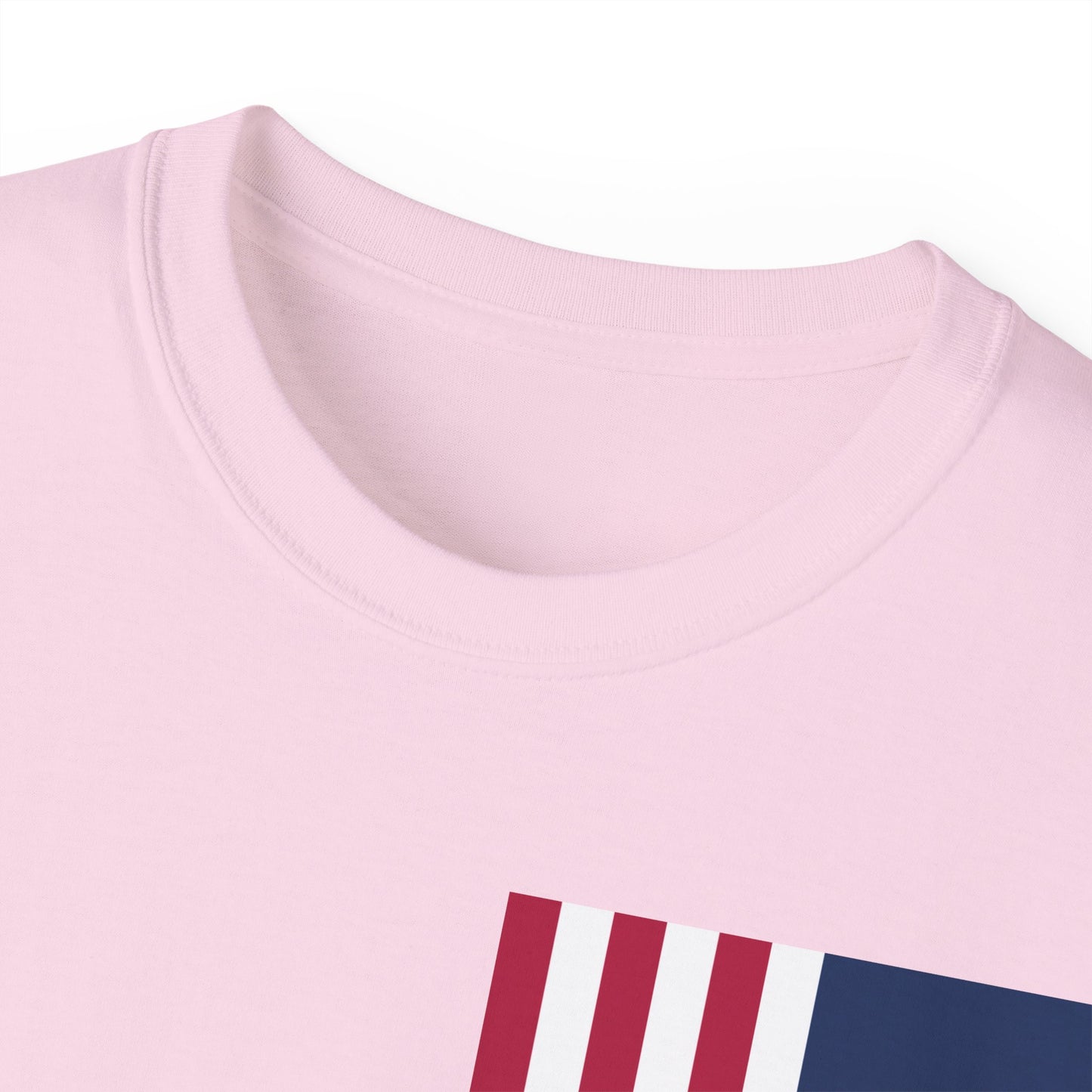 LongD cotton tee negative cropped flag single-breasted front-back Hyde Park upright logo (Patriotic colors)
