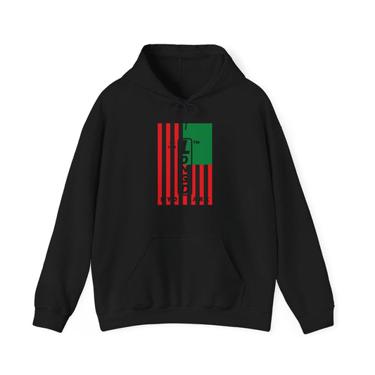 LongD® negative cropped flag upright Hyde Park logo hoodie (Juneteenth colors)