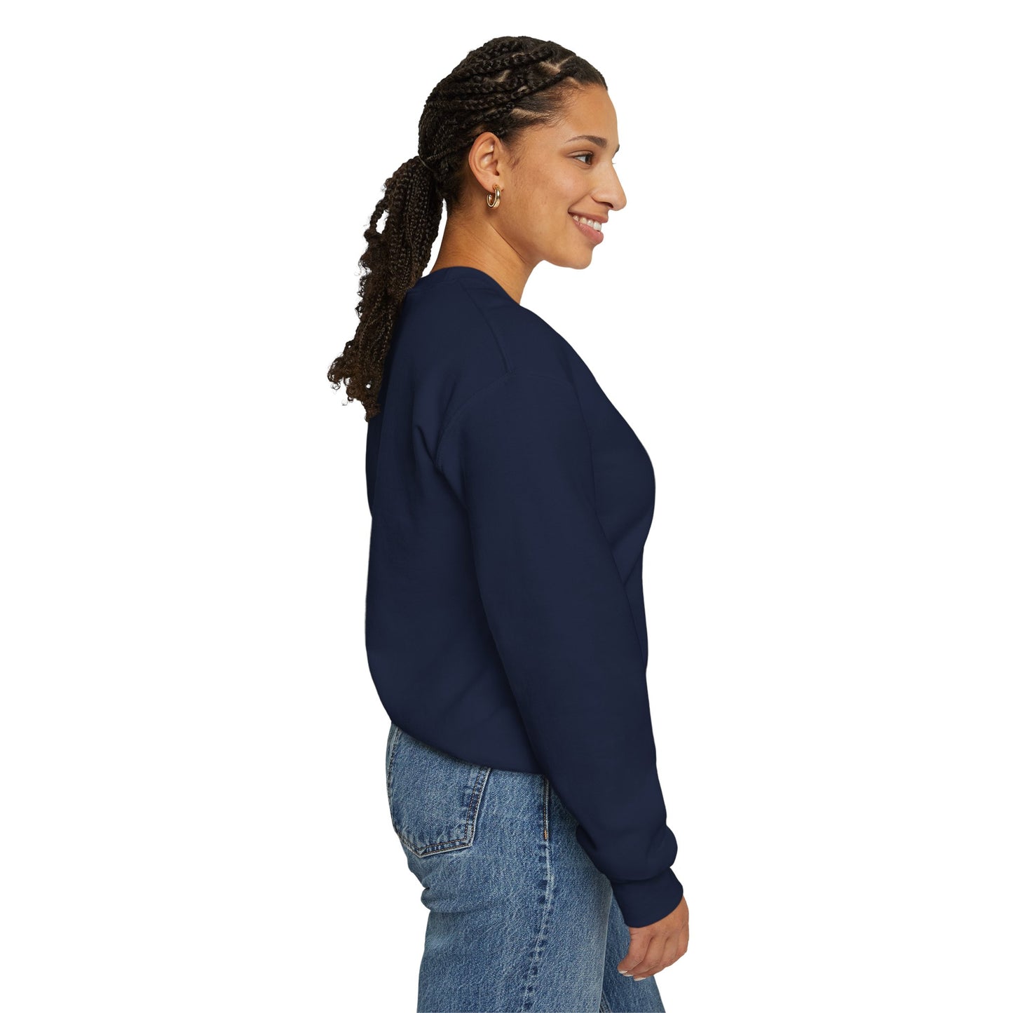 LongD positive vertical 6-striped Hyde Park logo crewneck sweatshirt (patriotic colors)