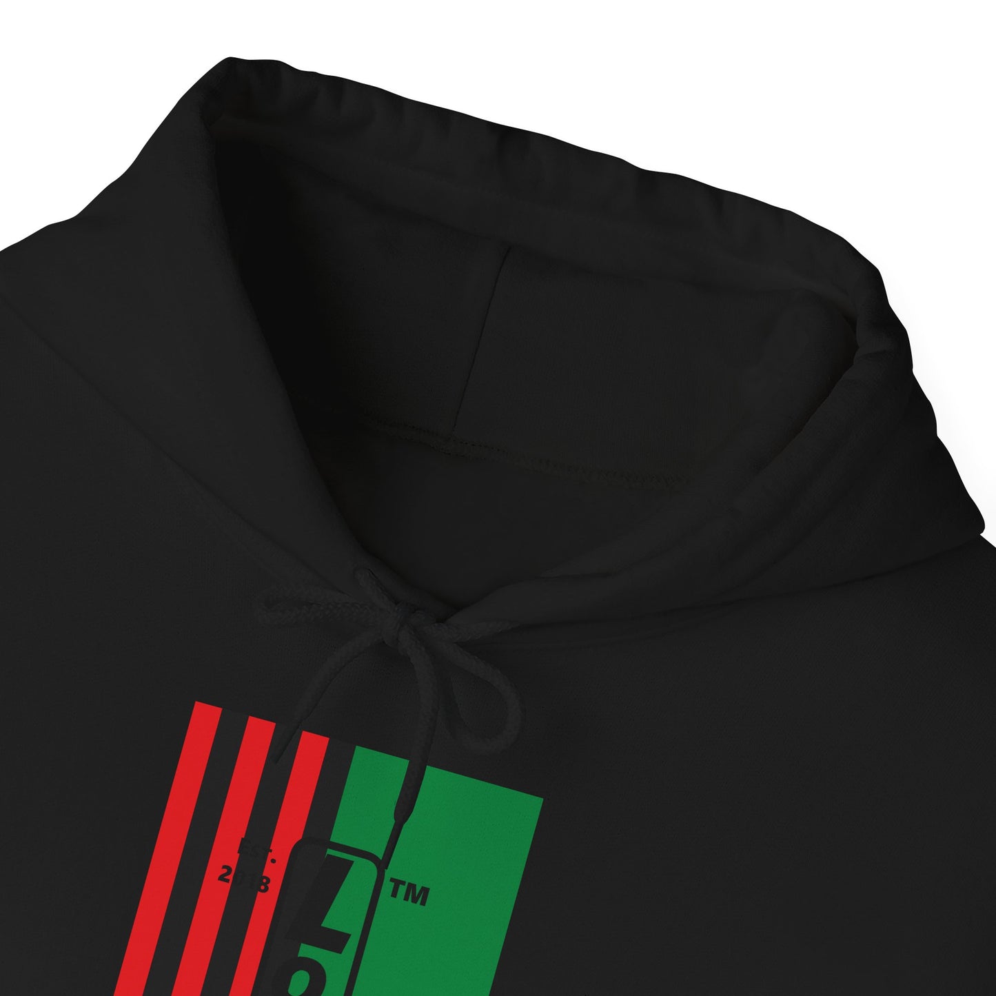 LongD® negative cropped flag upright Hyde Park logo hoodie (Juneteenth colors)