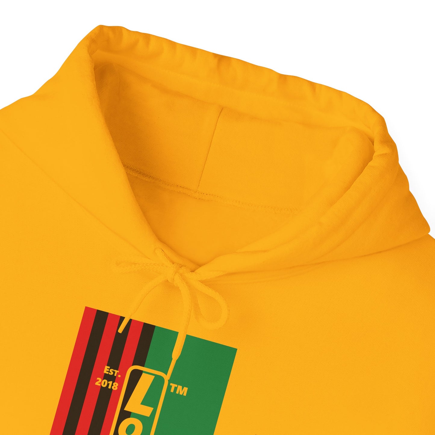 LongD® negative cropped flag upright Hyde Park logo hoodie (Juneteenth colors)
