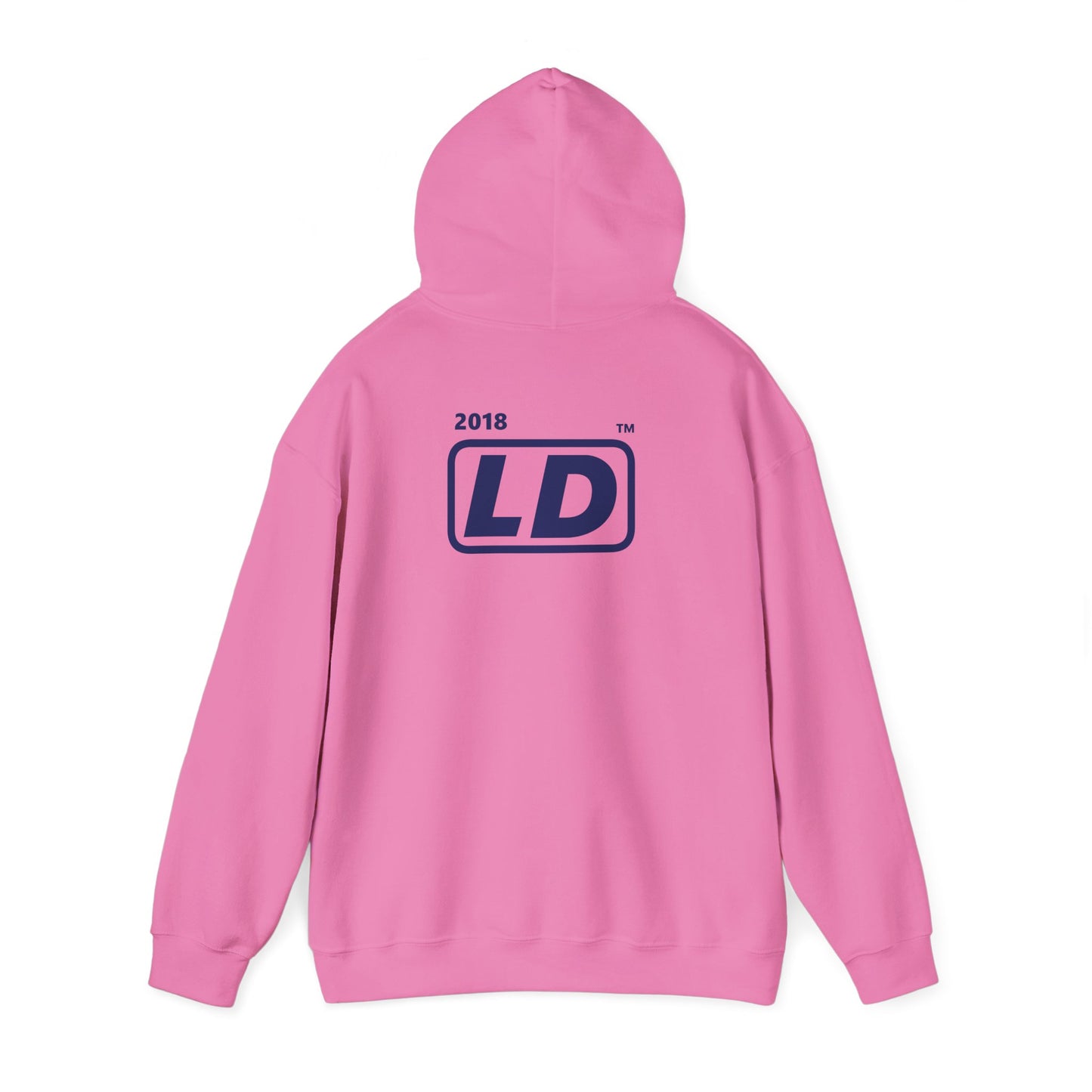 LongD® positive vertical striped single-breasted front-back Hyde Park logo hoodie (Pride colors)