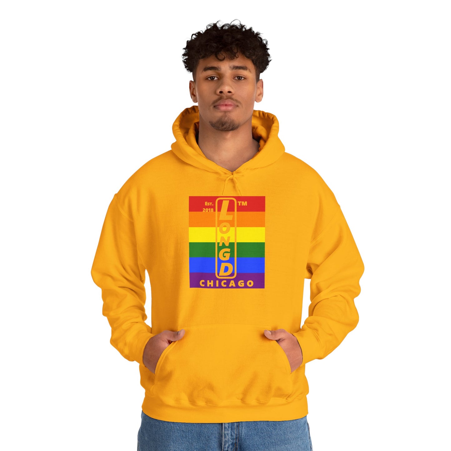 LongD® negative horizontal 6-striped upright Chicago logo hoodie (Pride colors)